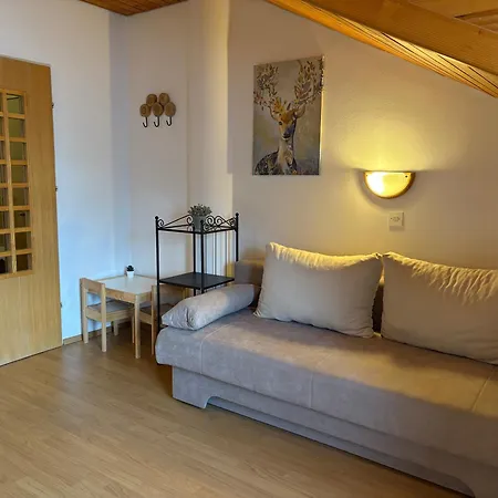 Apartman Alpine Sun *