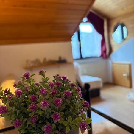 Appartement Alpine Sun *