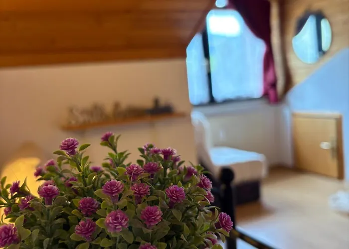 아파트 Alpine Sun *